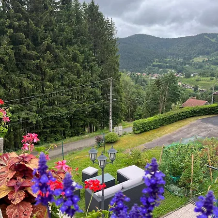 Au 21 Vosgien Alojamento de Acomodação e Pequeno-almoço Ventron