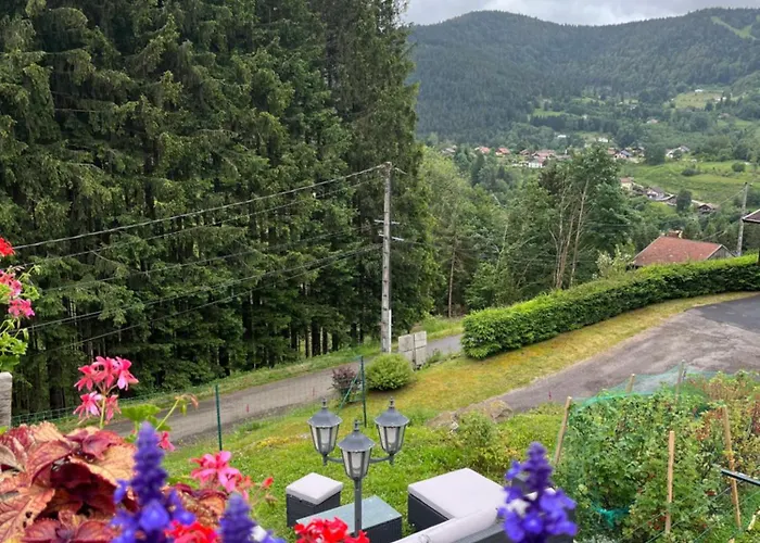 Au 21 Vosgien Bed & Breakfast Ventron