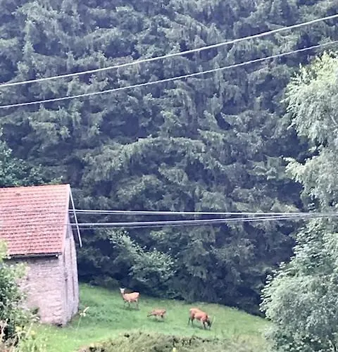 Au 21 Vosgien Bed & Breakfast Ventron